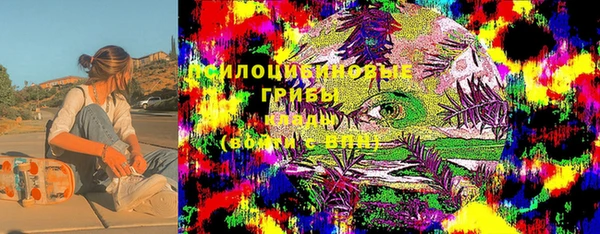 ГАЛЛЮЦИНОГЕННЫЕ ГРИБЫ Волоколамск