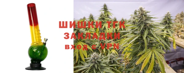 соль ск Вяземский