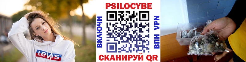 мега маркетплейс  Зеленоградск  Псилоцибиновые грибы мицелий 